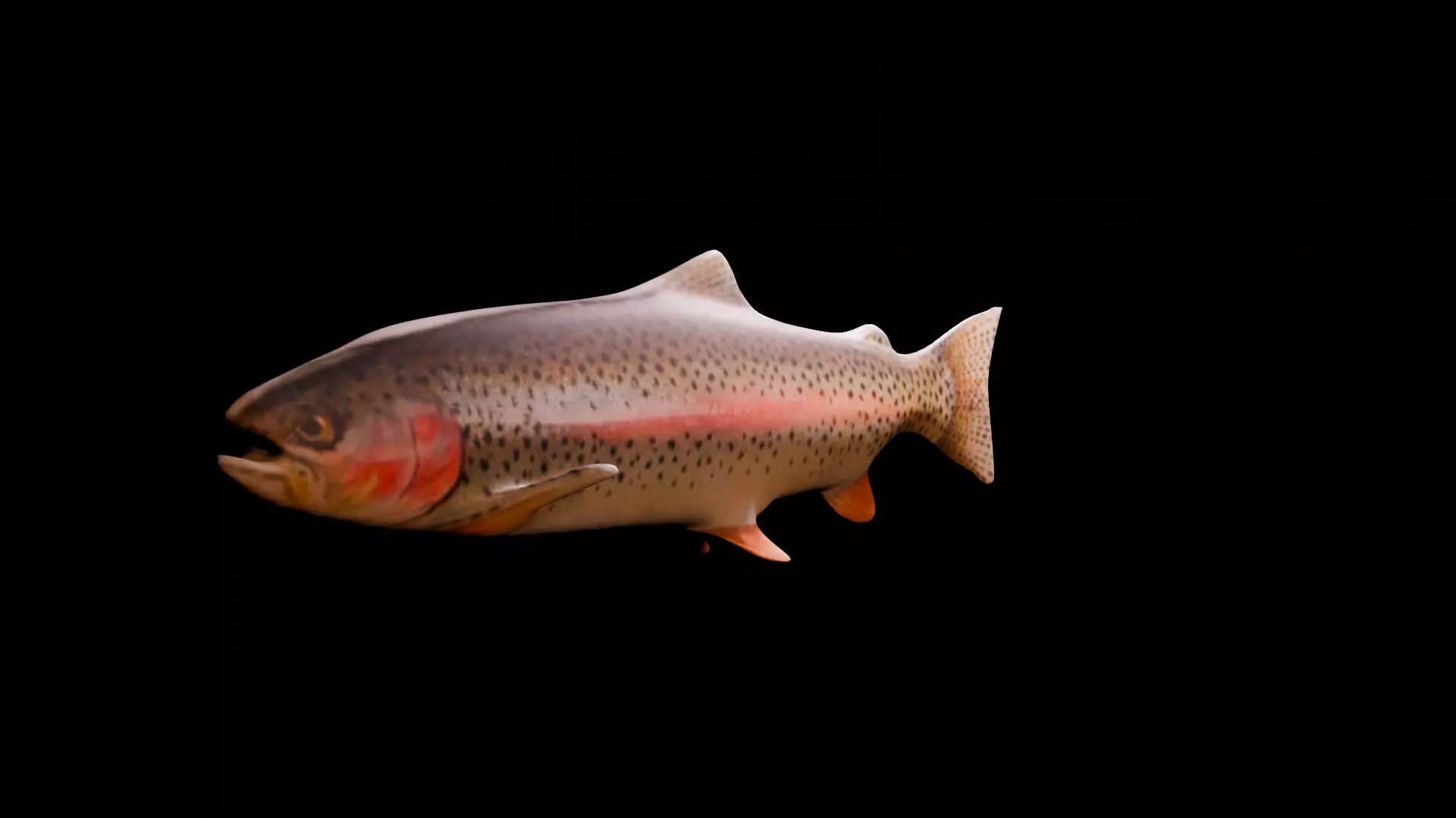 3d fish Low-poly 3D model_0