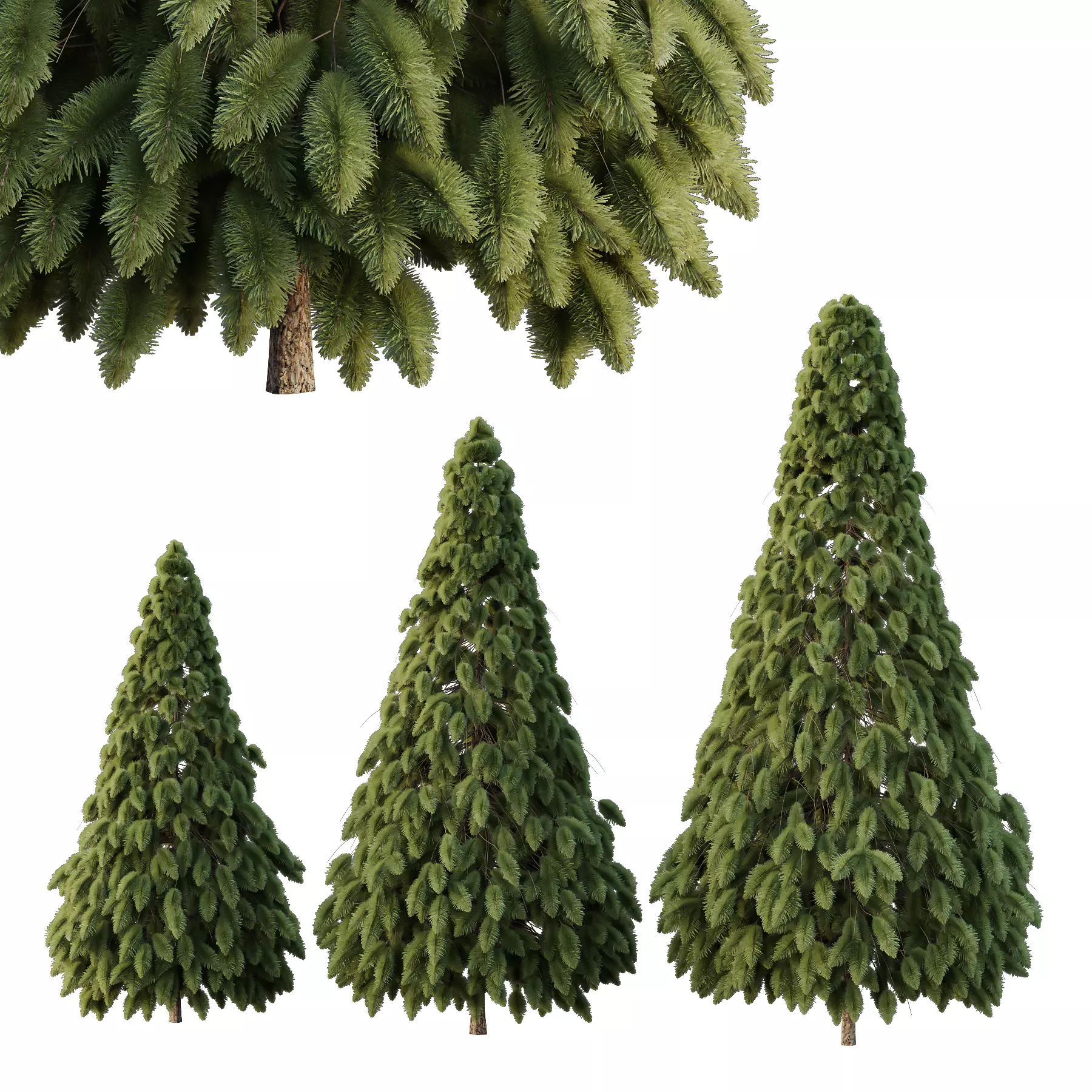 pin tree 01 3D model_0