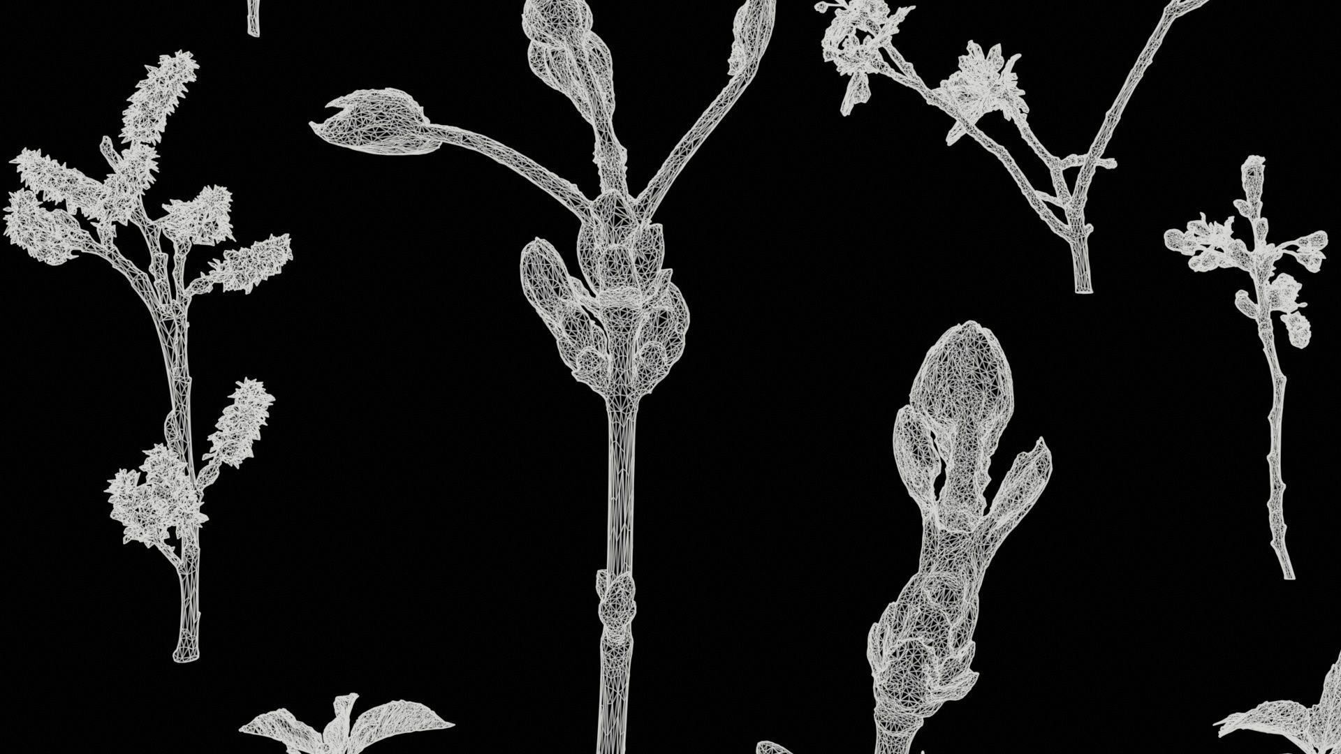 25 Spring Sprouts Low-poly 3D model_11