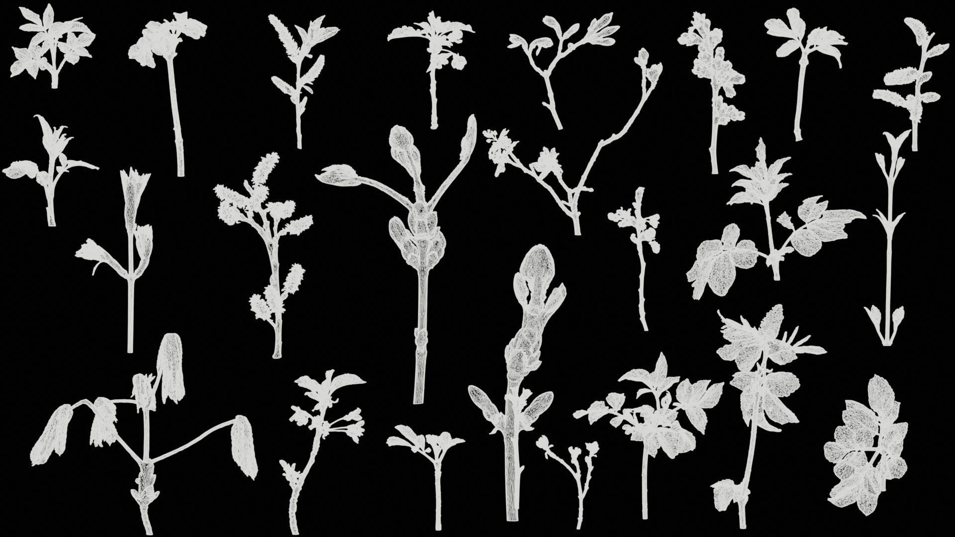 25 Spring Sprouts Low-poly 3D model_10