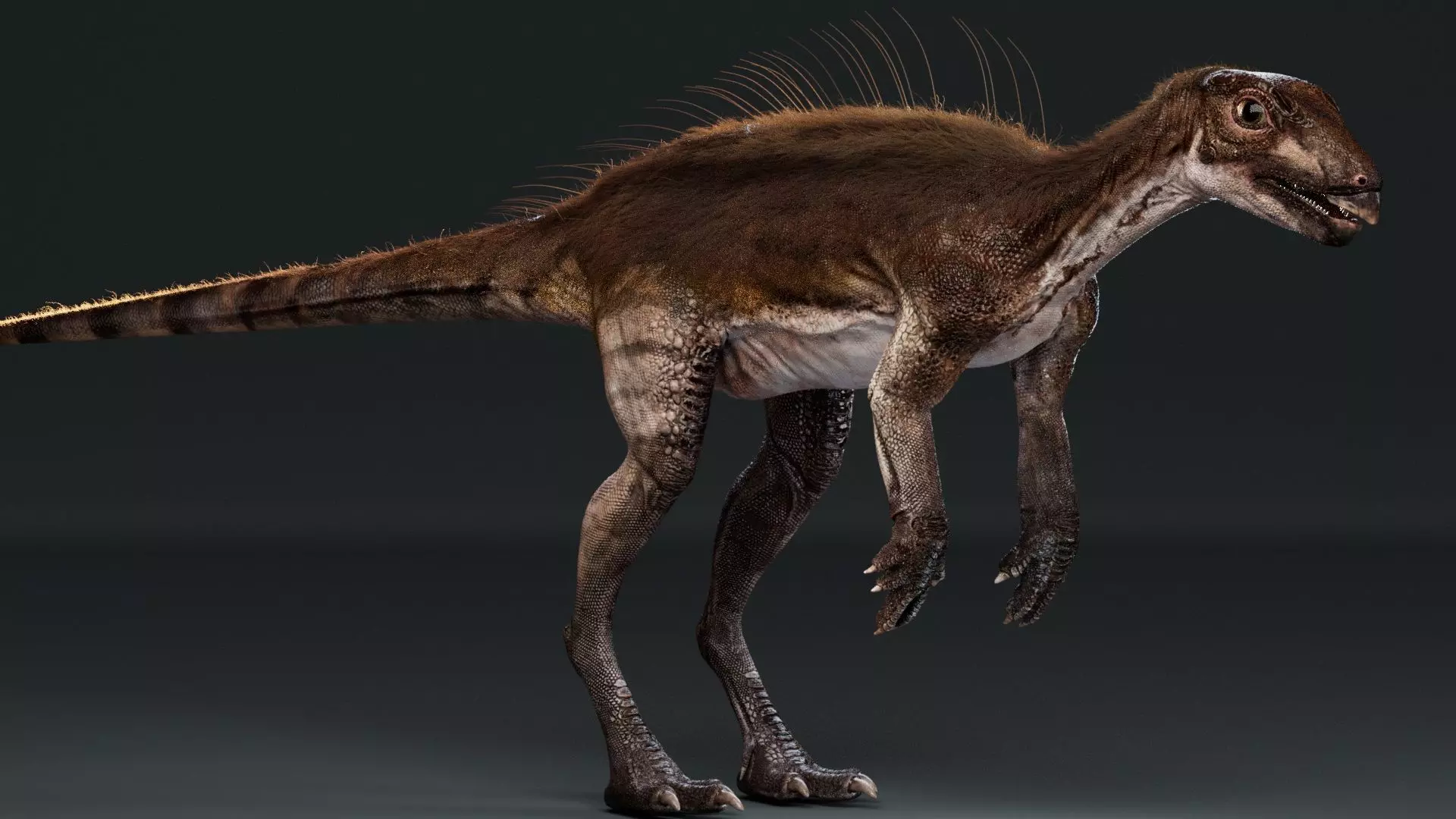 PisanosaurusNo hair Free low-poly 3D model_0