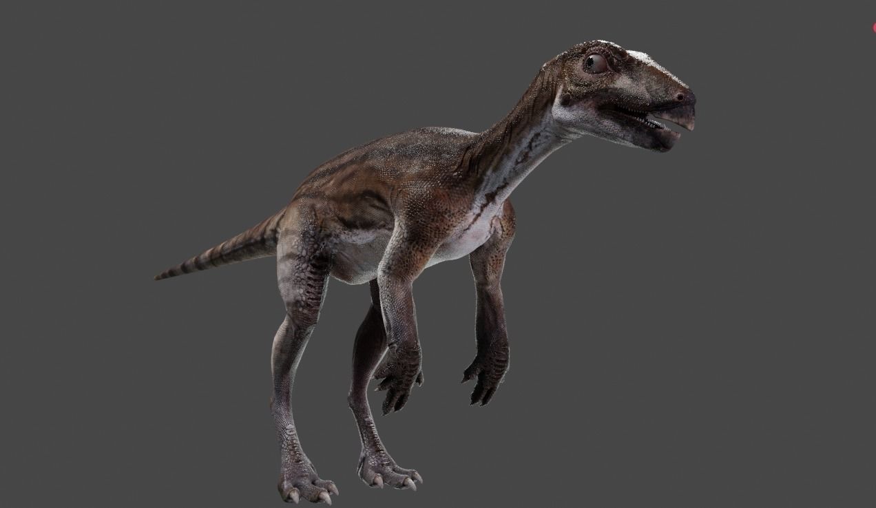 PisanosaurusNo hair Free low-poly 3D model_4