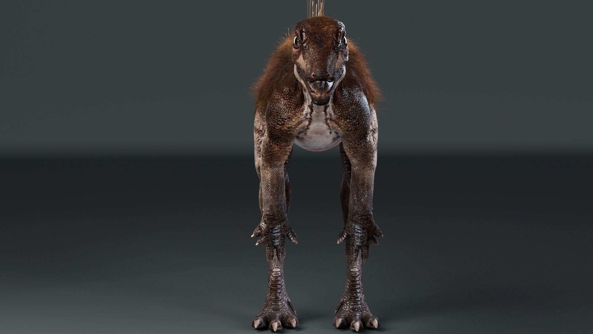 PisanosaurusNo hair Free low-poly 3D model_2