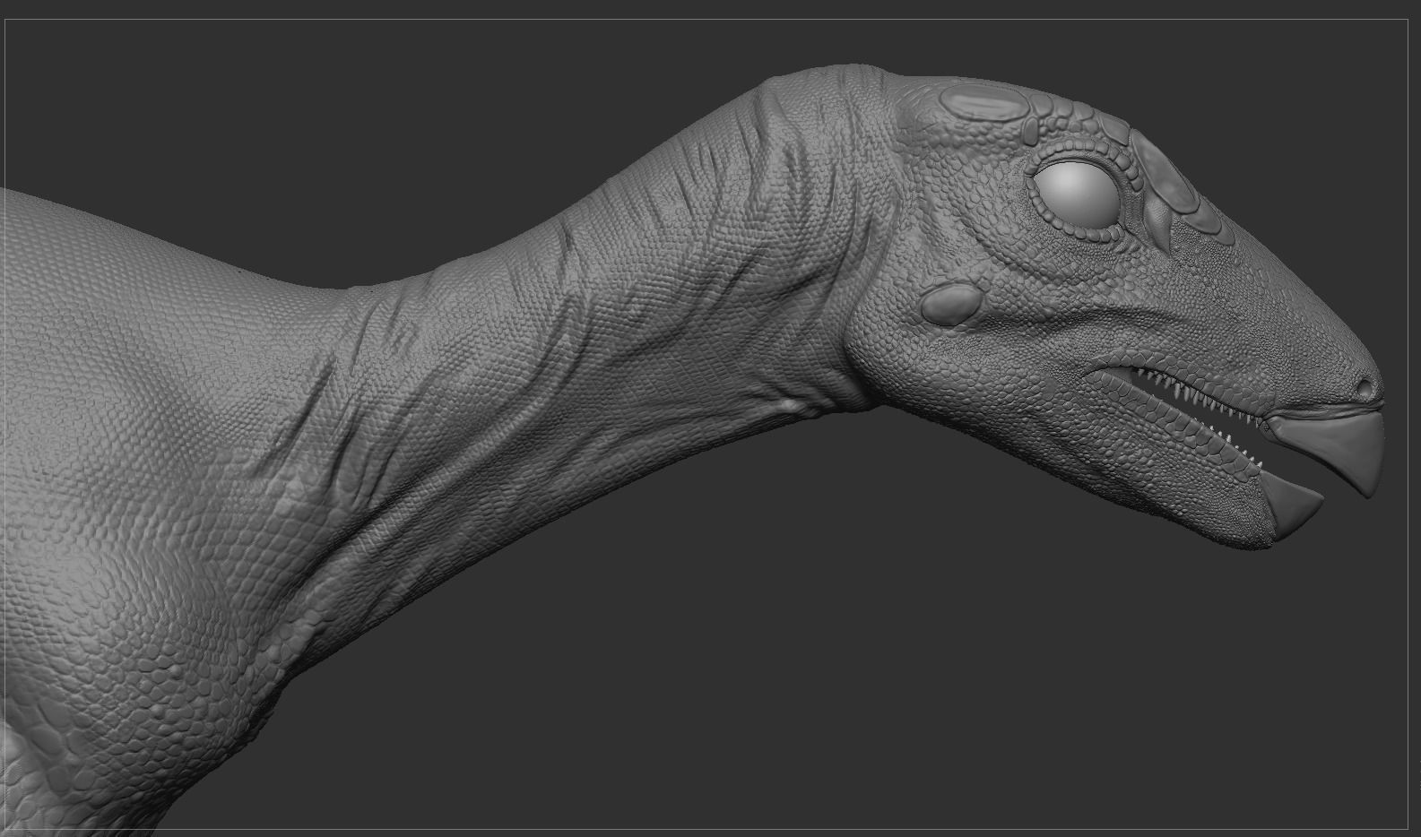 PisanosaurusNo hair Free low-poly 3D model_5