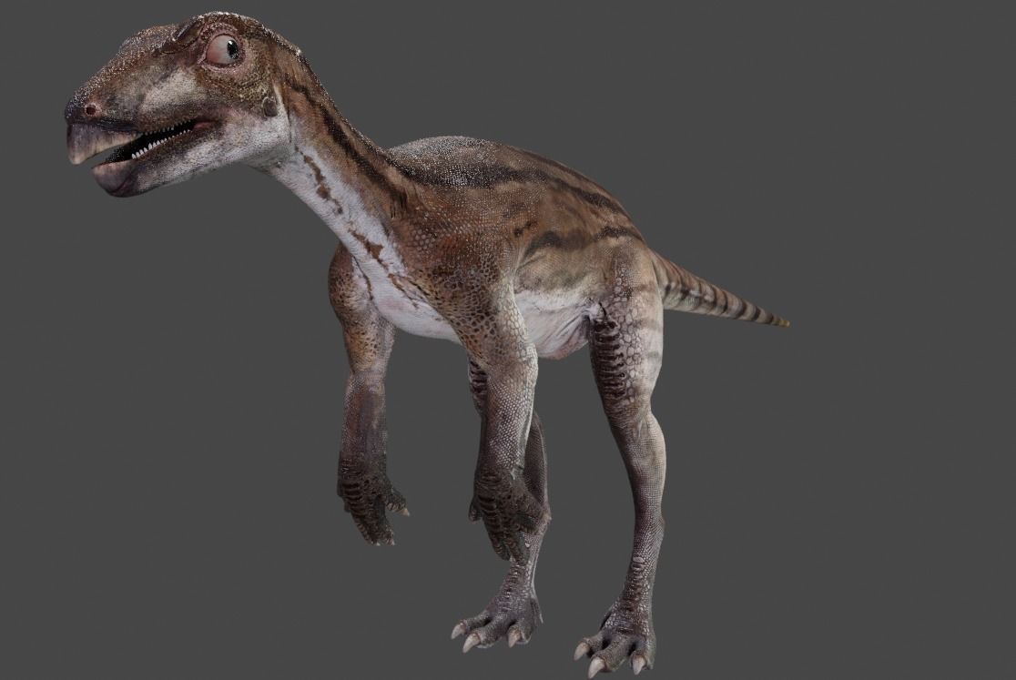 PisanosaurusNo hair Free low-poly 3D model_13