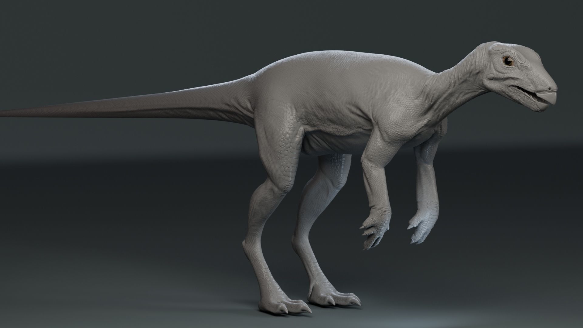 PisanosaurusNo hair Free low-poly 3D model_3