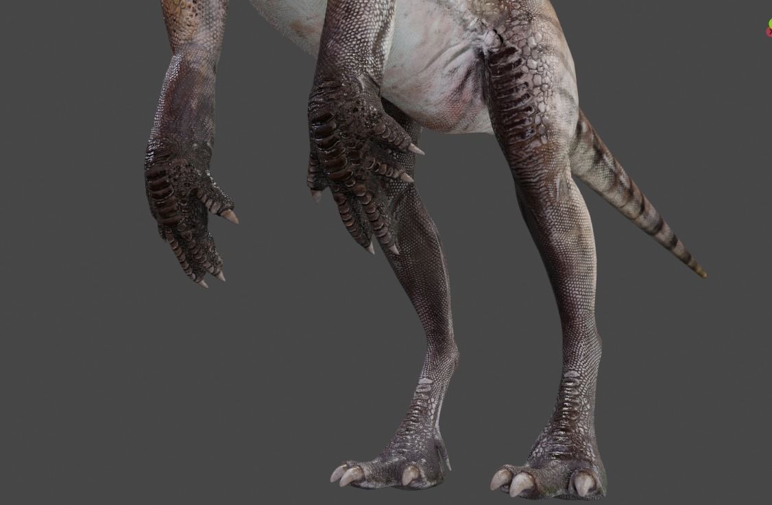 PisanosaurusNo hair Free low-poly 3D model_8