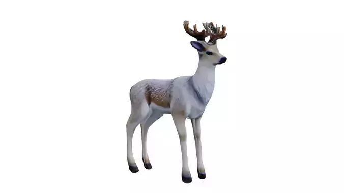Deer with white fur low poly