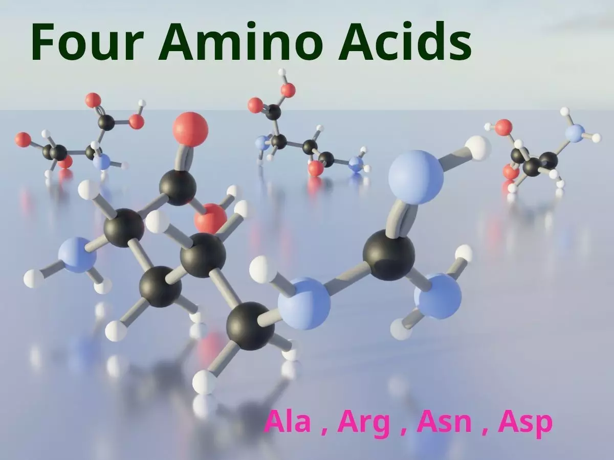 3D molecular model of amino acids 3D model