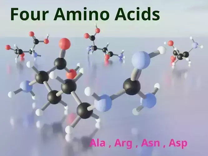 3D molecular model of amino acids 3D model