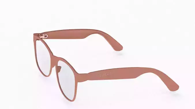 new wayfarer optics Low-poly 3D model