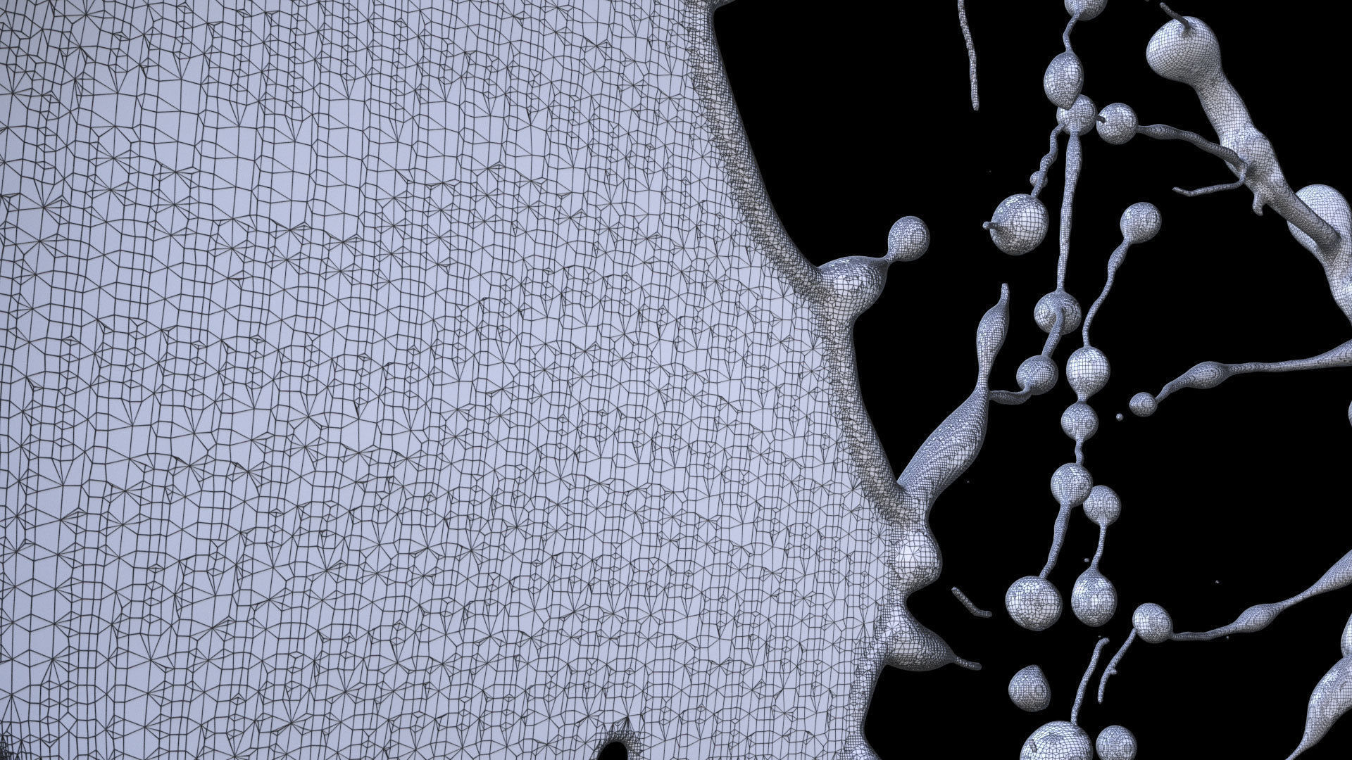 Thin Liquid 3D model_6