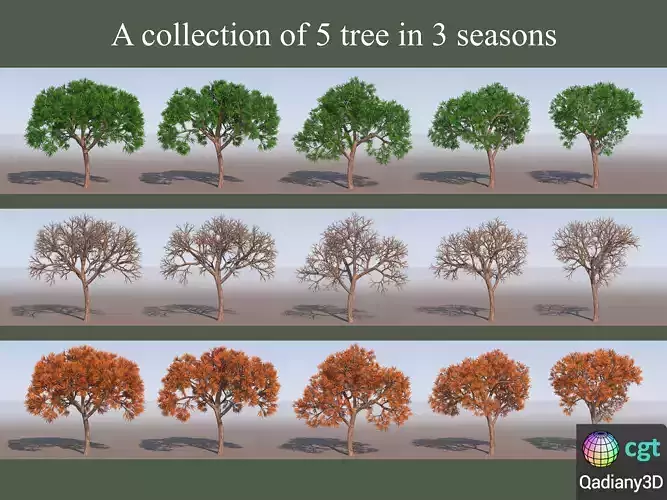 A collection of 5 tree in 3 seasons object 01 3D model