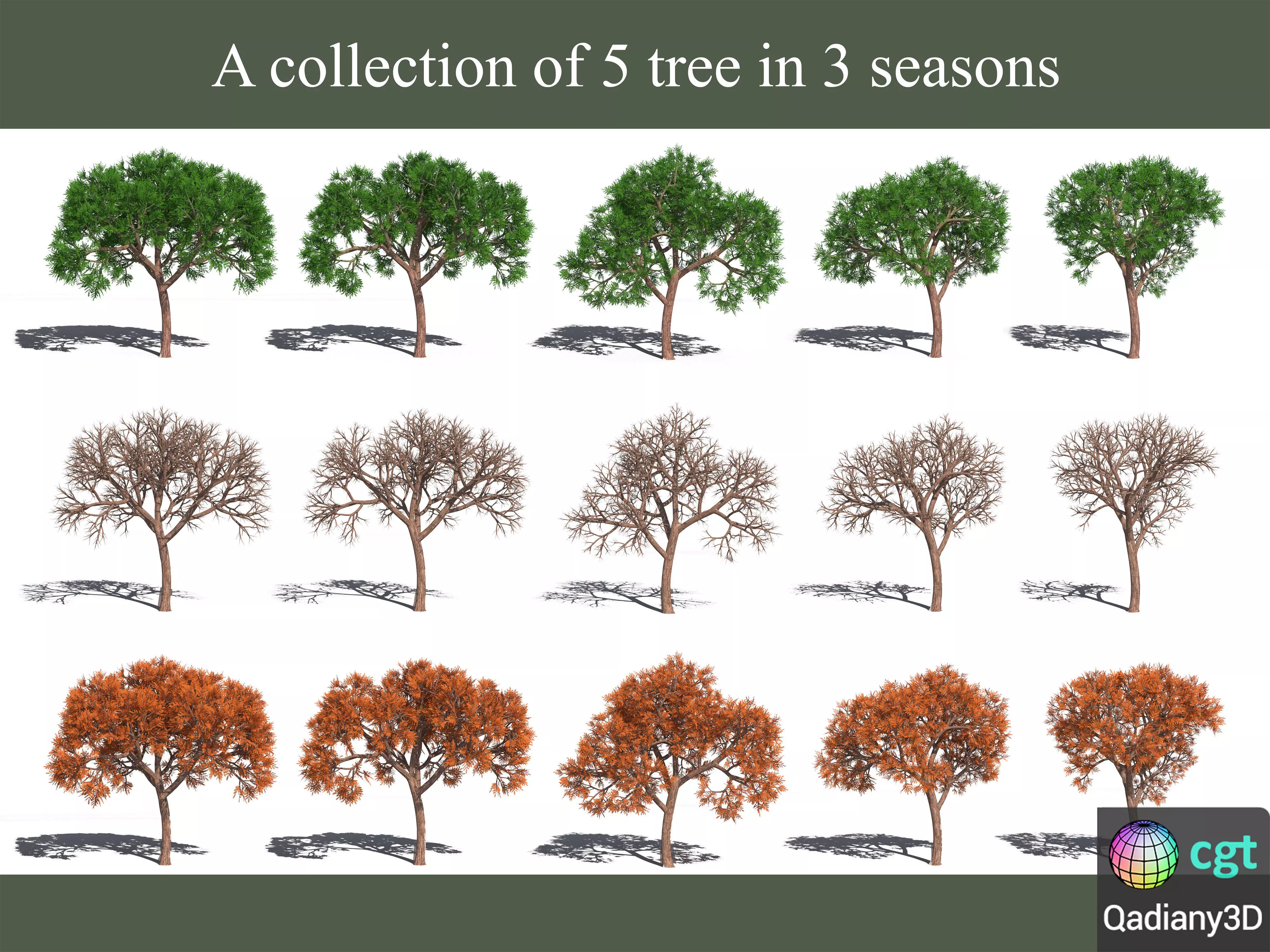 A collection of 5 tree in 3 seasons object 01 3D model