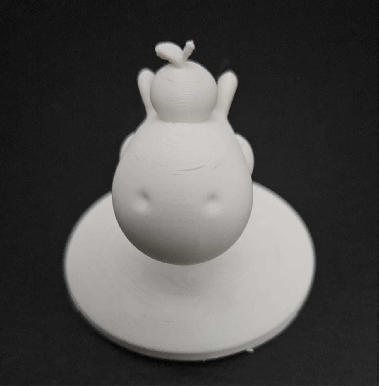 Capybara with Orange 3D print model_14