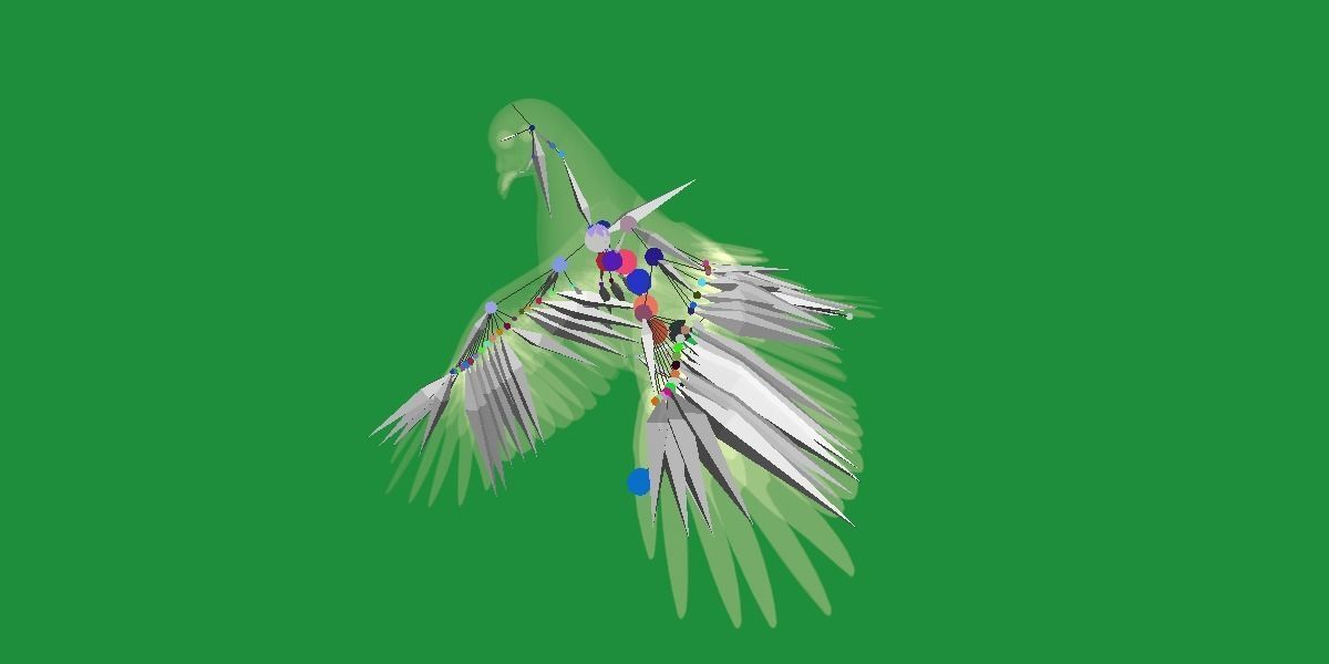 Pigeon Bird Breed 3D model_22