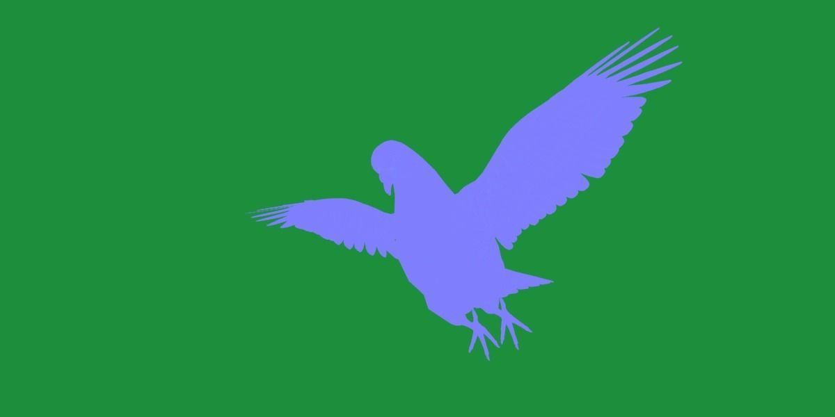 Pigeon Bird Breed 3D model_26