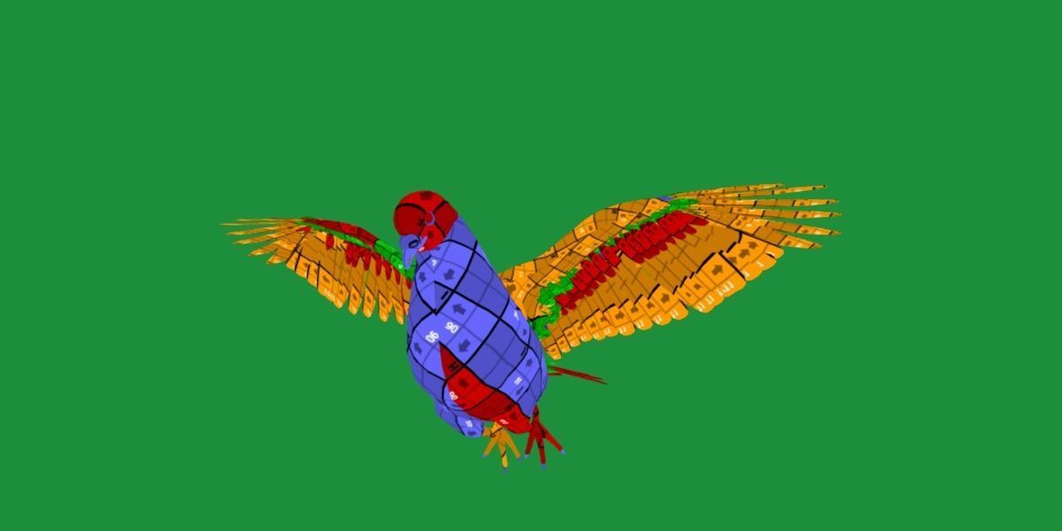 Pigeon Bird Breed 3D model_16