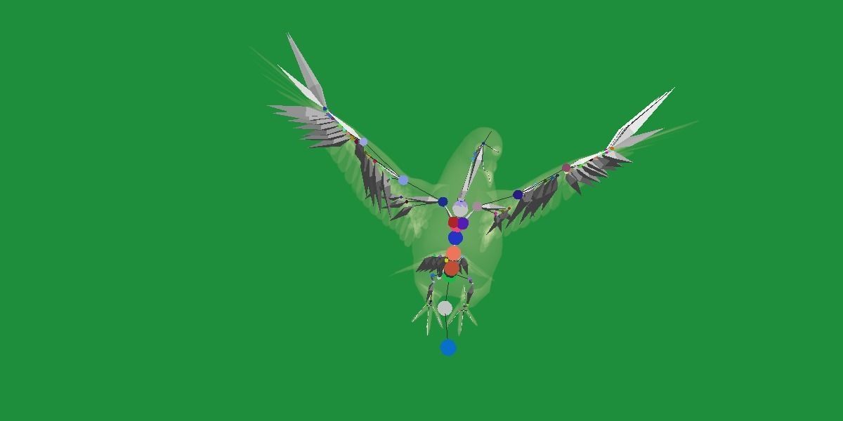 Pigeon Bird Breed 3D model_23