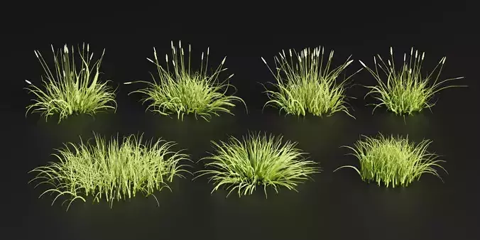 Summer Wild Grass collection vol 224-Blender