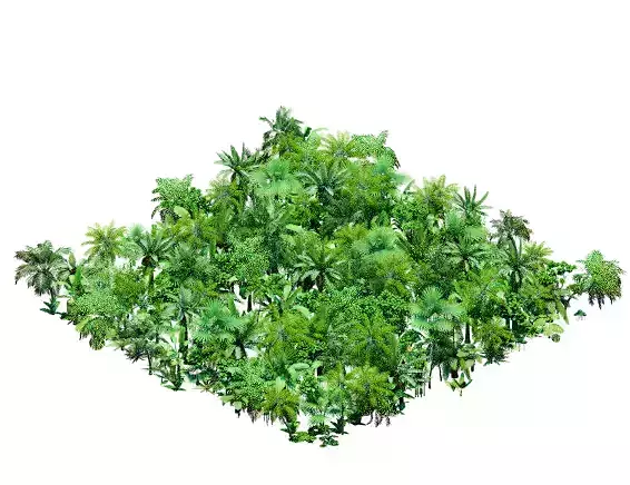 Tropical Forest Tile Freecol