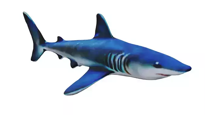 Reef shark LOW POLY Low-poly 3D model
