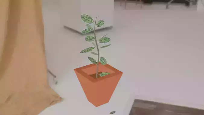 plant pot