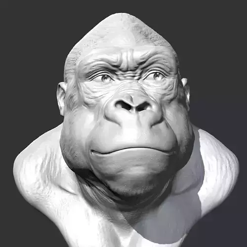 Gorilla Head AM28 3D print model