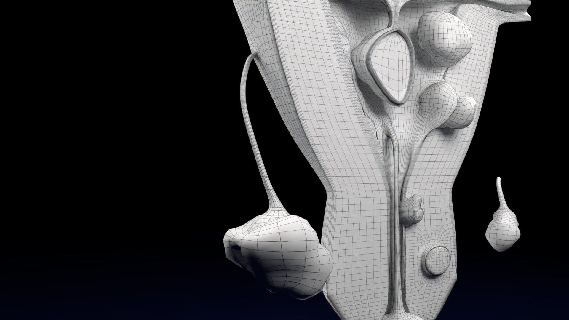 Fibroid Uterus Human female 3D Low-poly 3D model_74