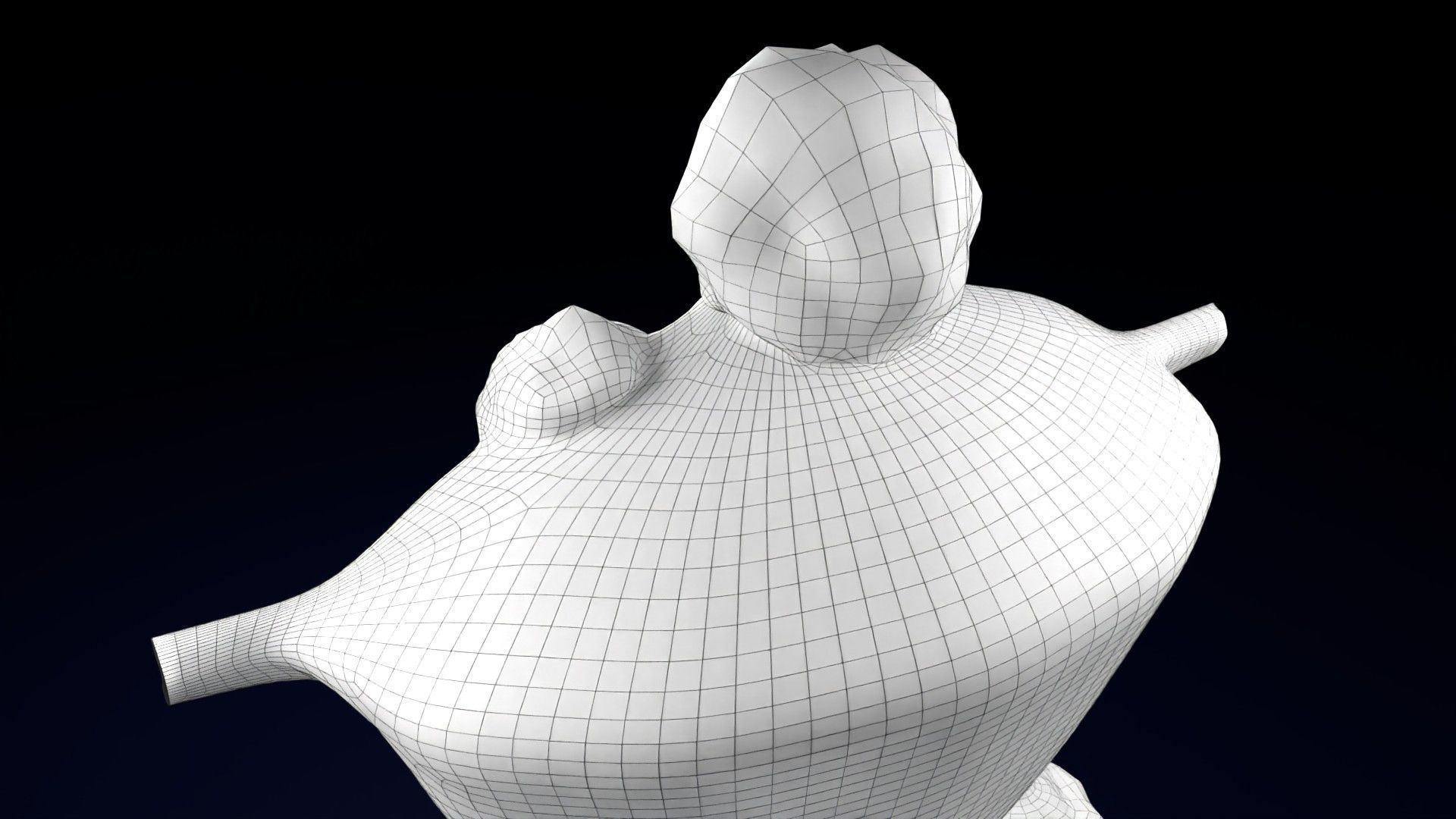 Fibroid Uterus Human female 3D Low-poly 3D model_66