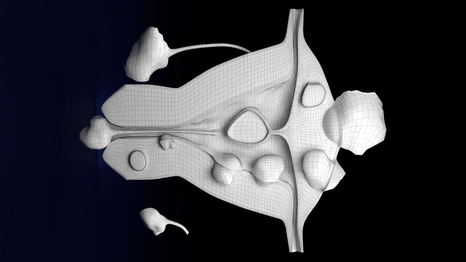 Fibroid Uterus Human female 3D Low-poly 3D model_57