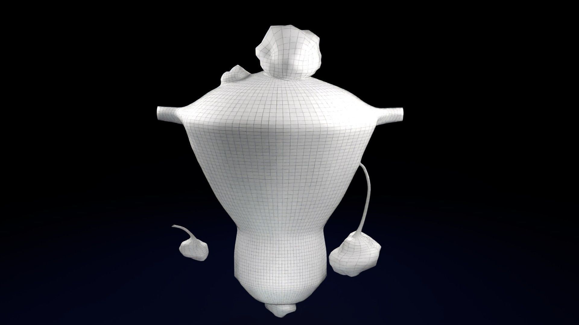 Fibroid Uterus Human female 3D Low-poly 3D model_68