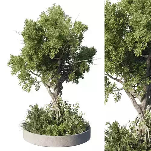 Garden plants - outdoor plant set 192