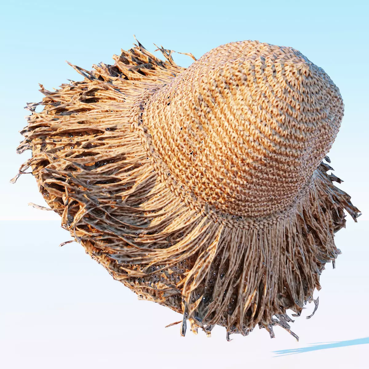 Straw hat Low-poly 3D model_0
