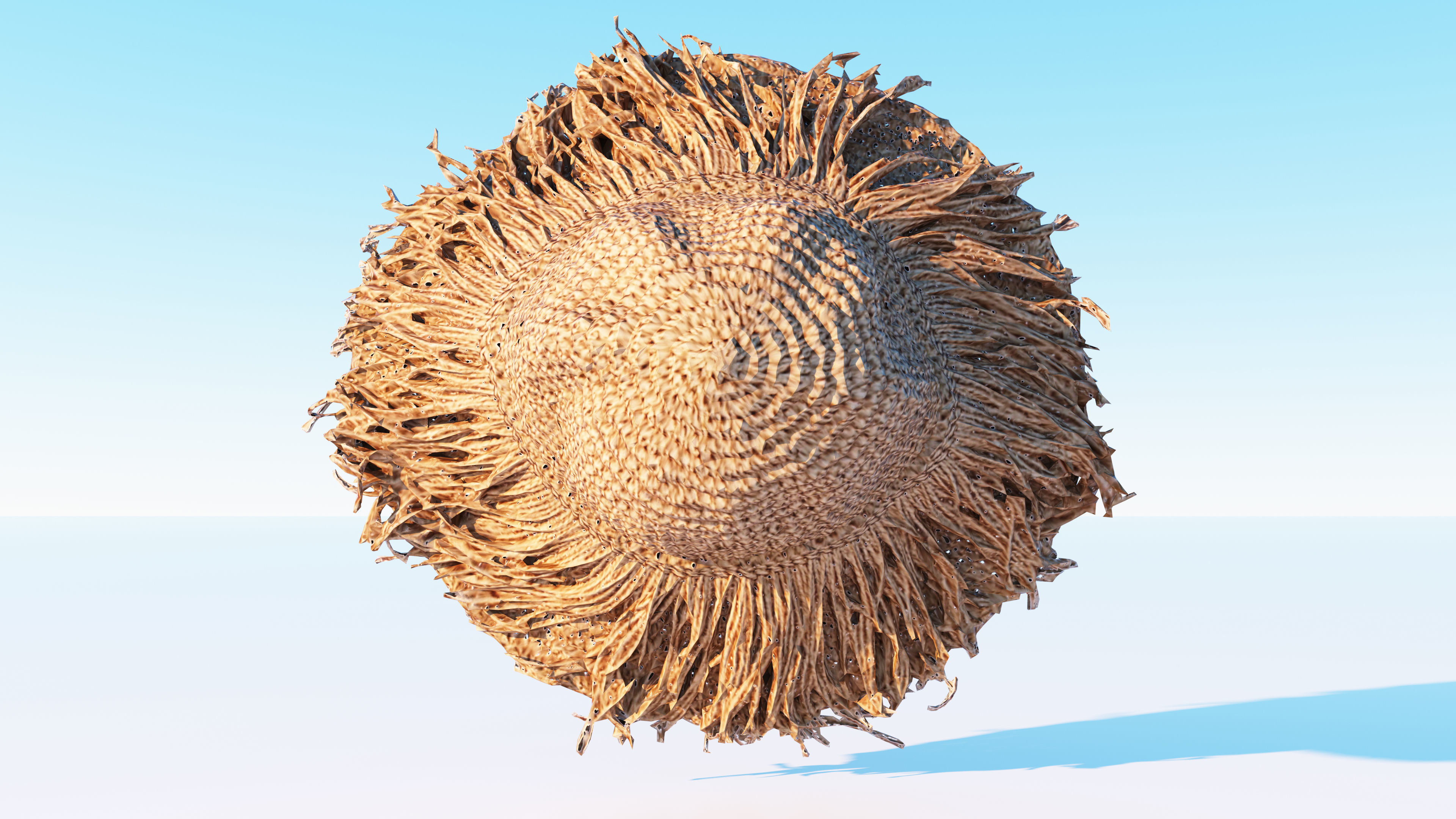 Straw hat Low-poly 3D model_7