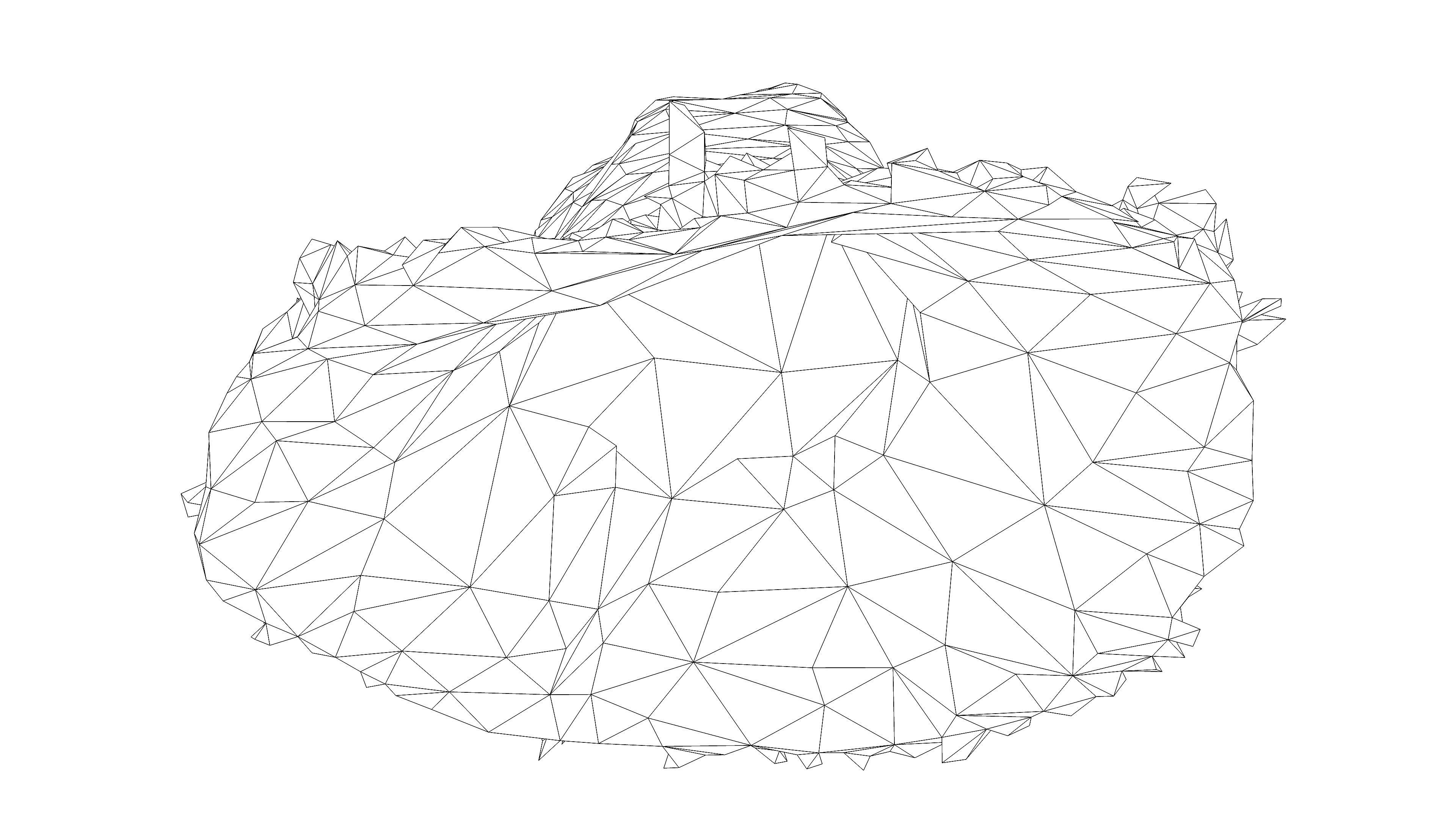 Straw hat Low-poly 3D model_9