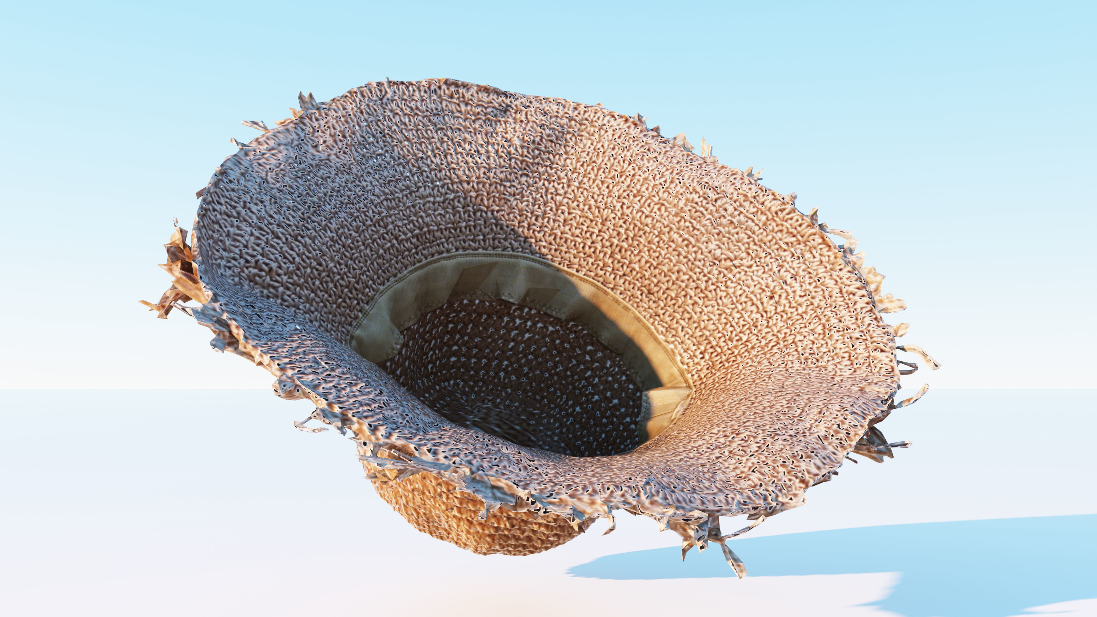 Straw hat Low-poly 3D model_8