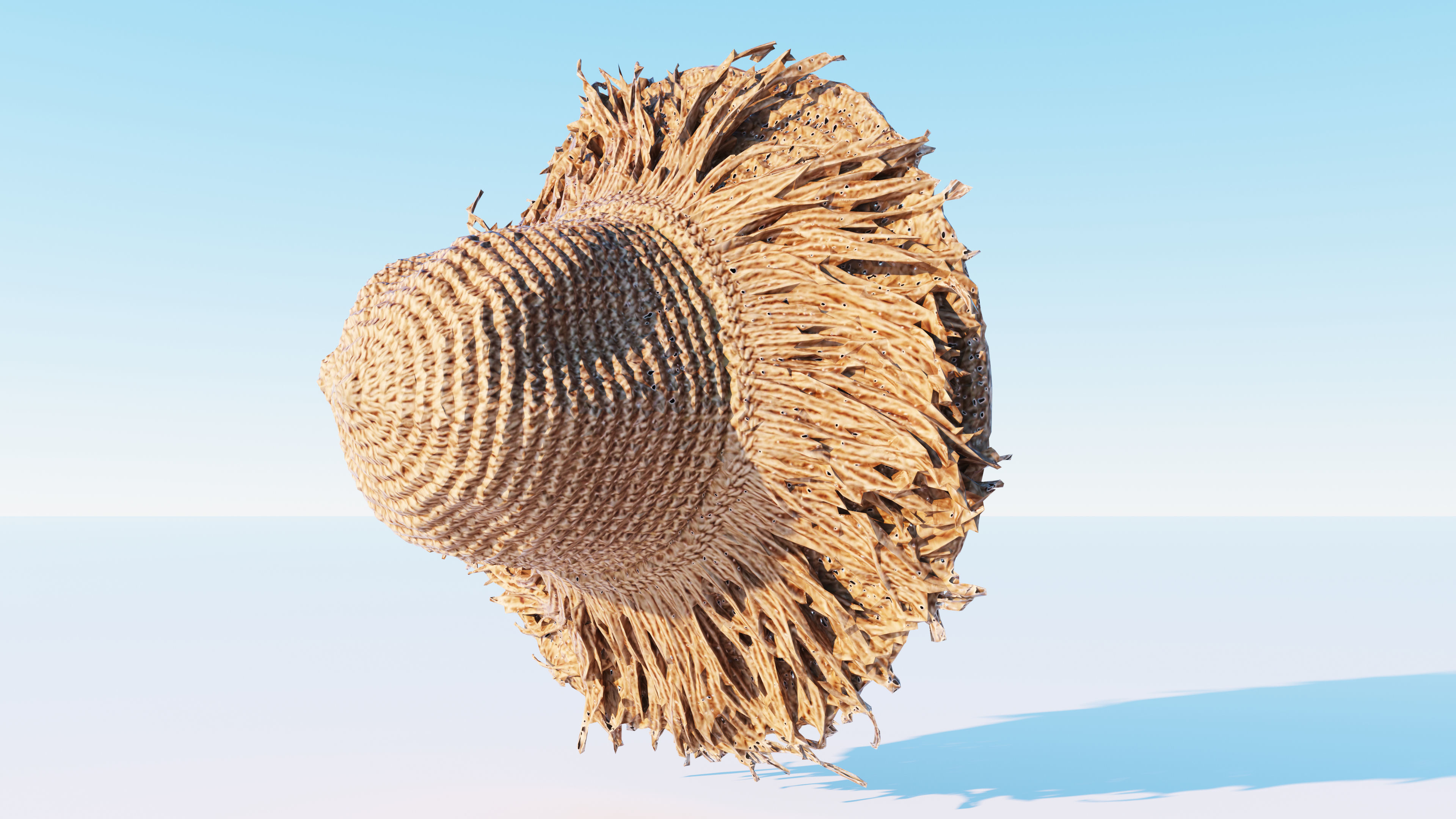 Straw hat Low-poly 3D model_4