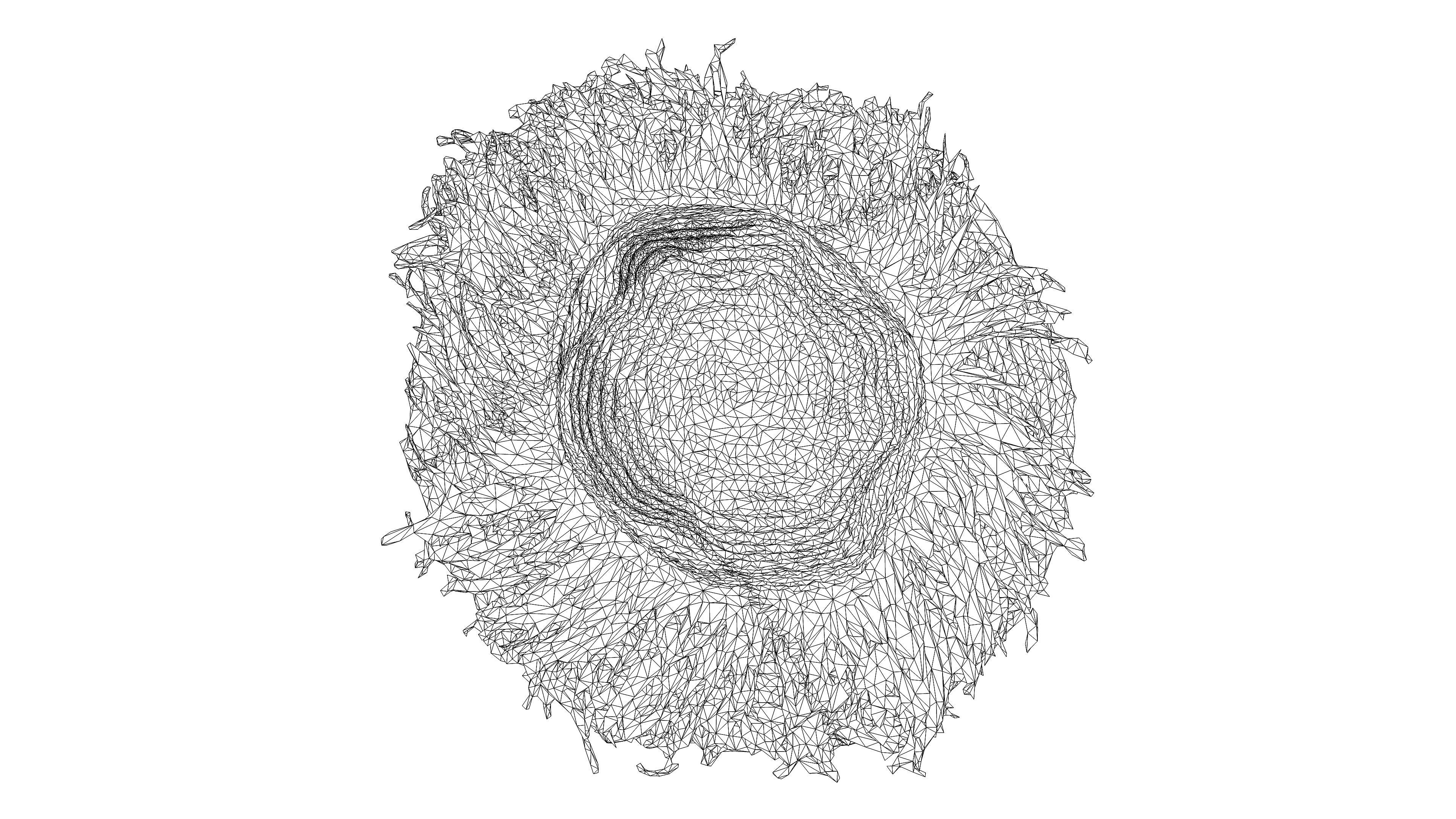 Straw hat Low-poly 3D model_17