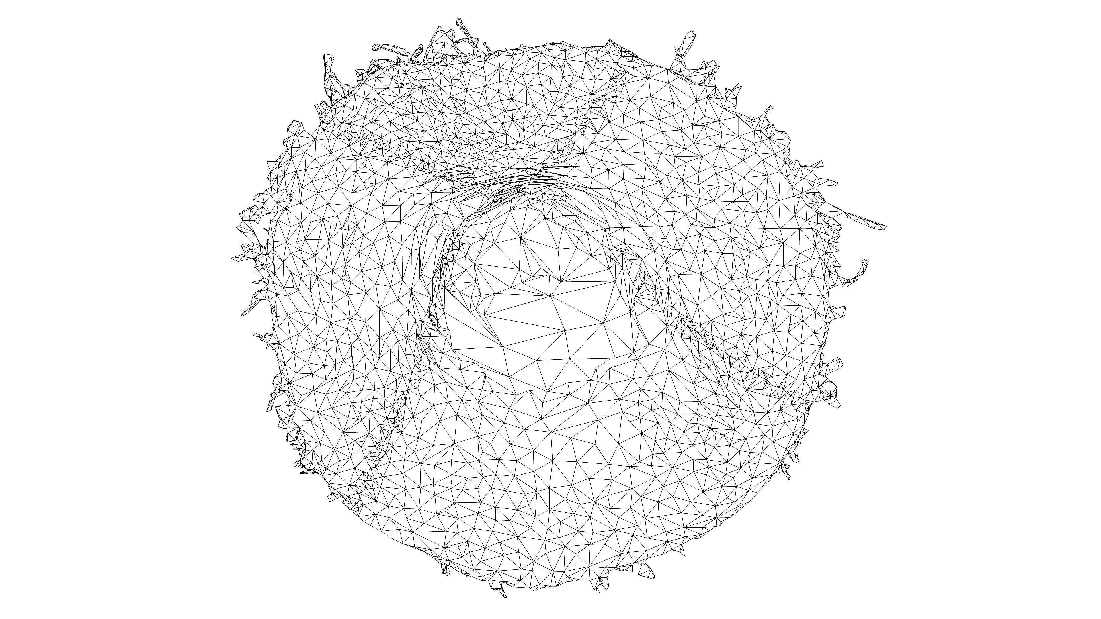 Straw hat Low-poly 3D model_19