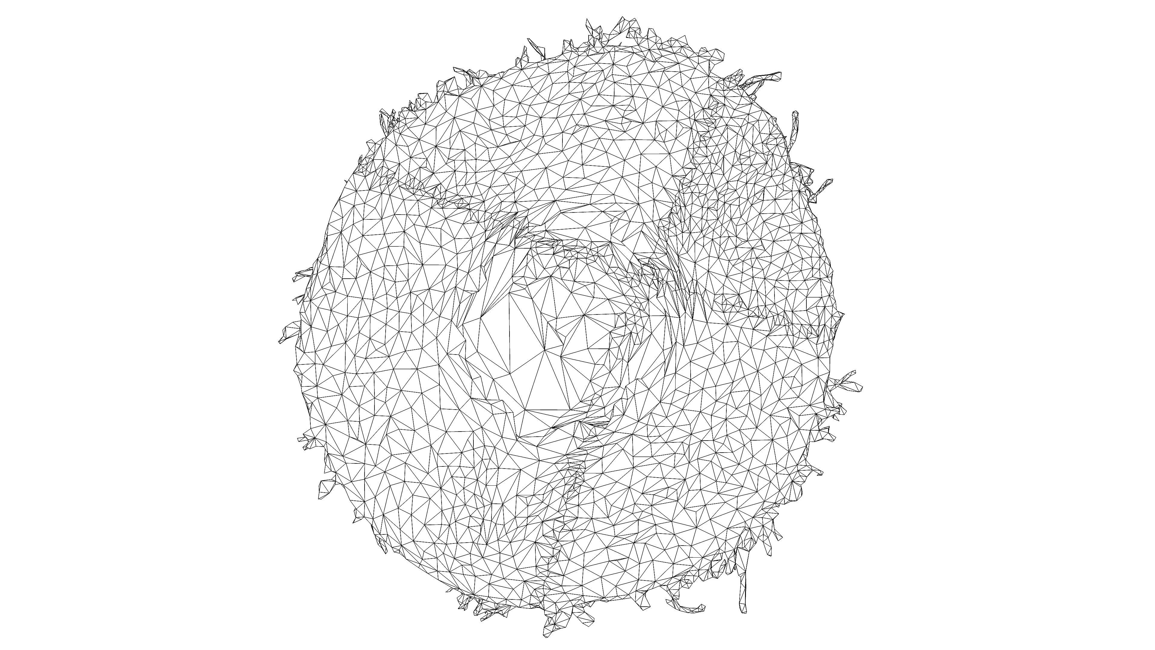 Straw hat Low-poly 3D model_15