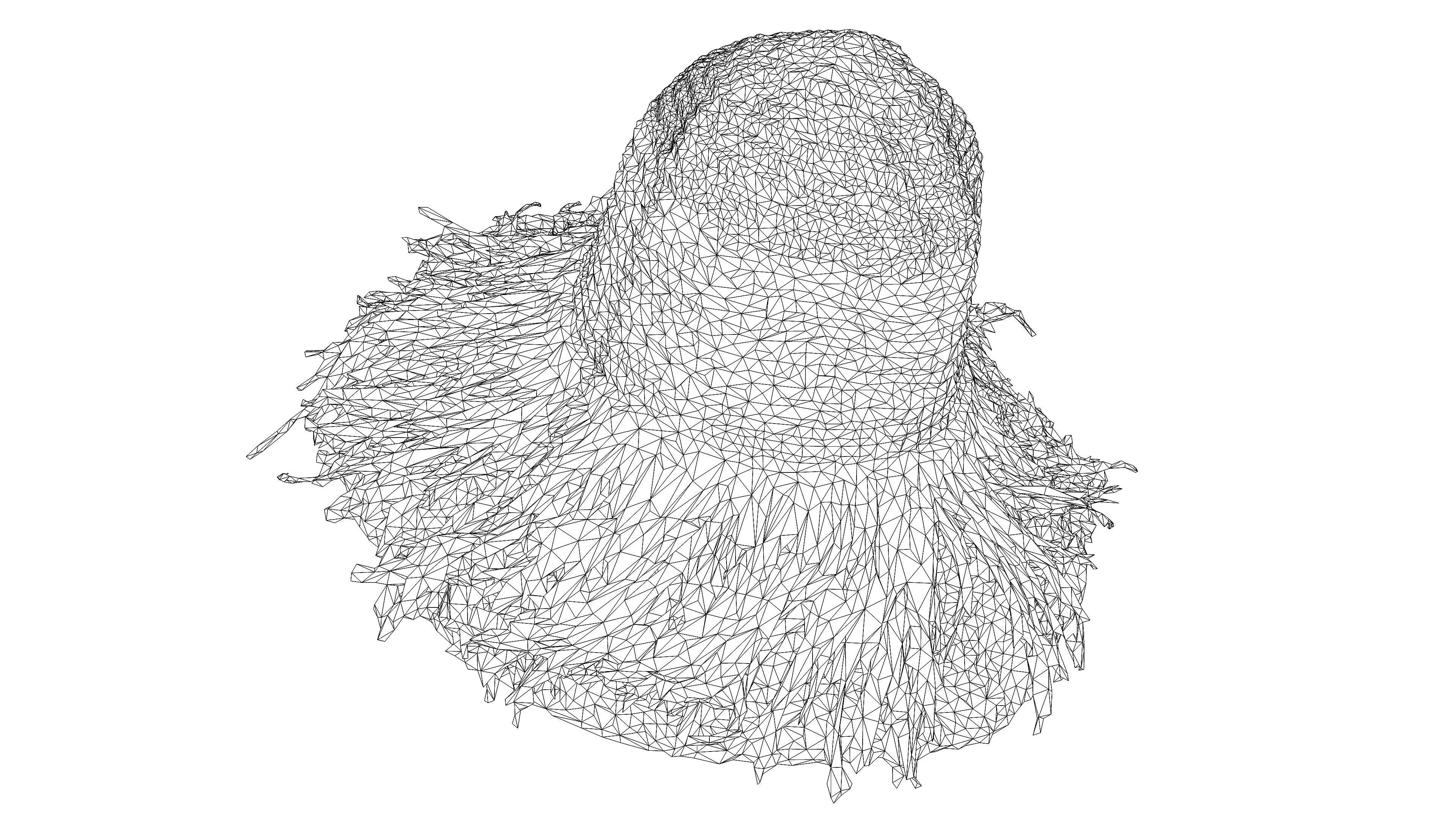 Straw hat Low-poly 3D model_16