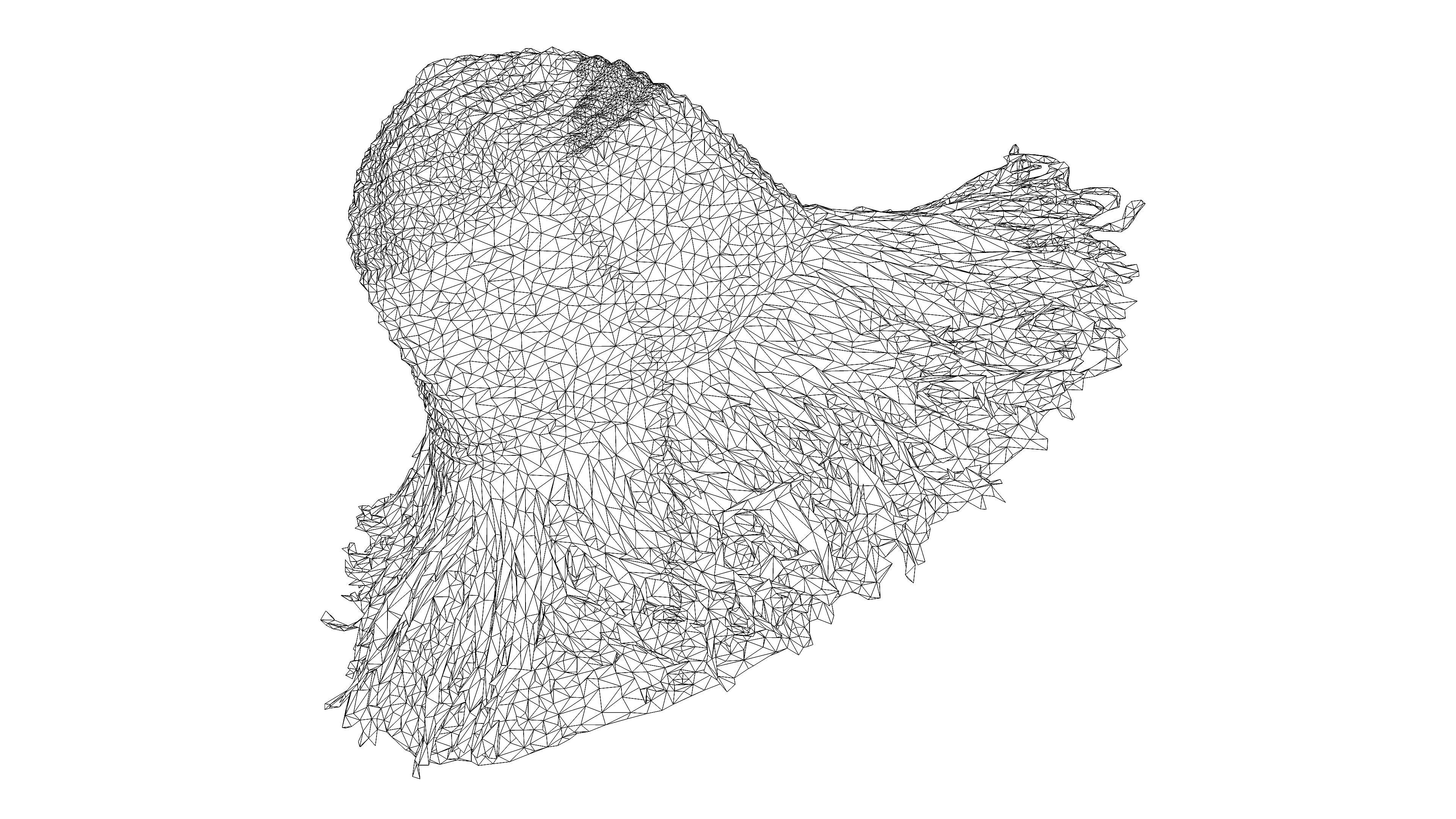 Straw hat Low-poly 3D model_14