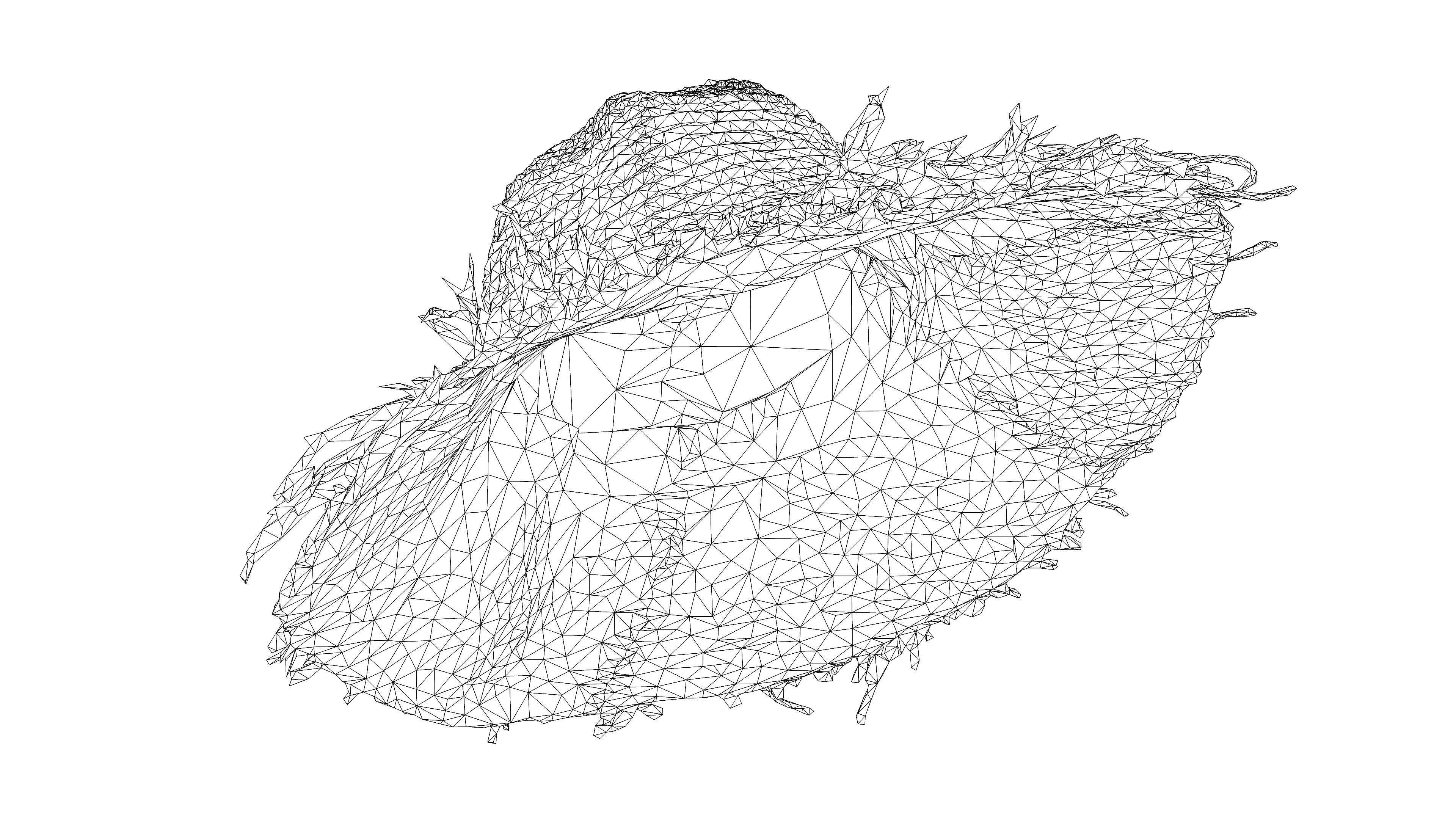 Straw hat Low-poly 3D model_18