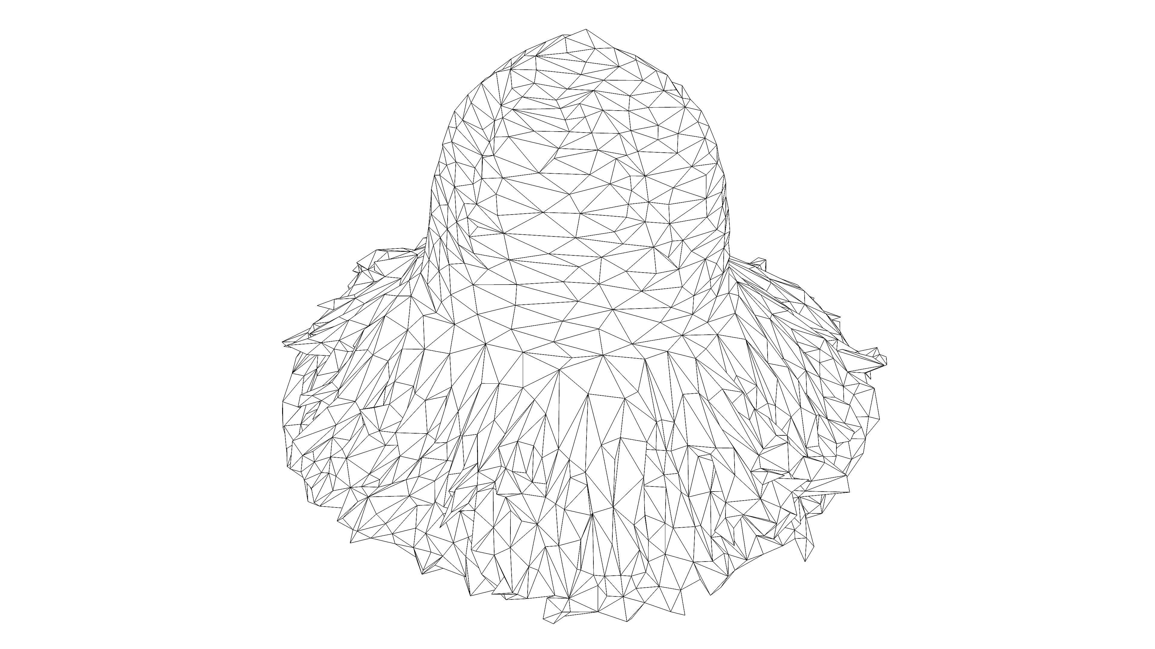 Straw hat Low-poly 3D model_11