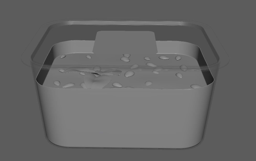 Tofu in Transparent Plastic Container - 3D Model Low-poly 3D model_7
