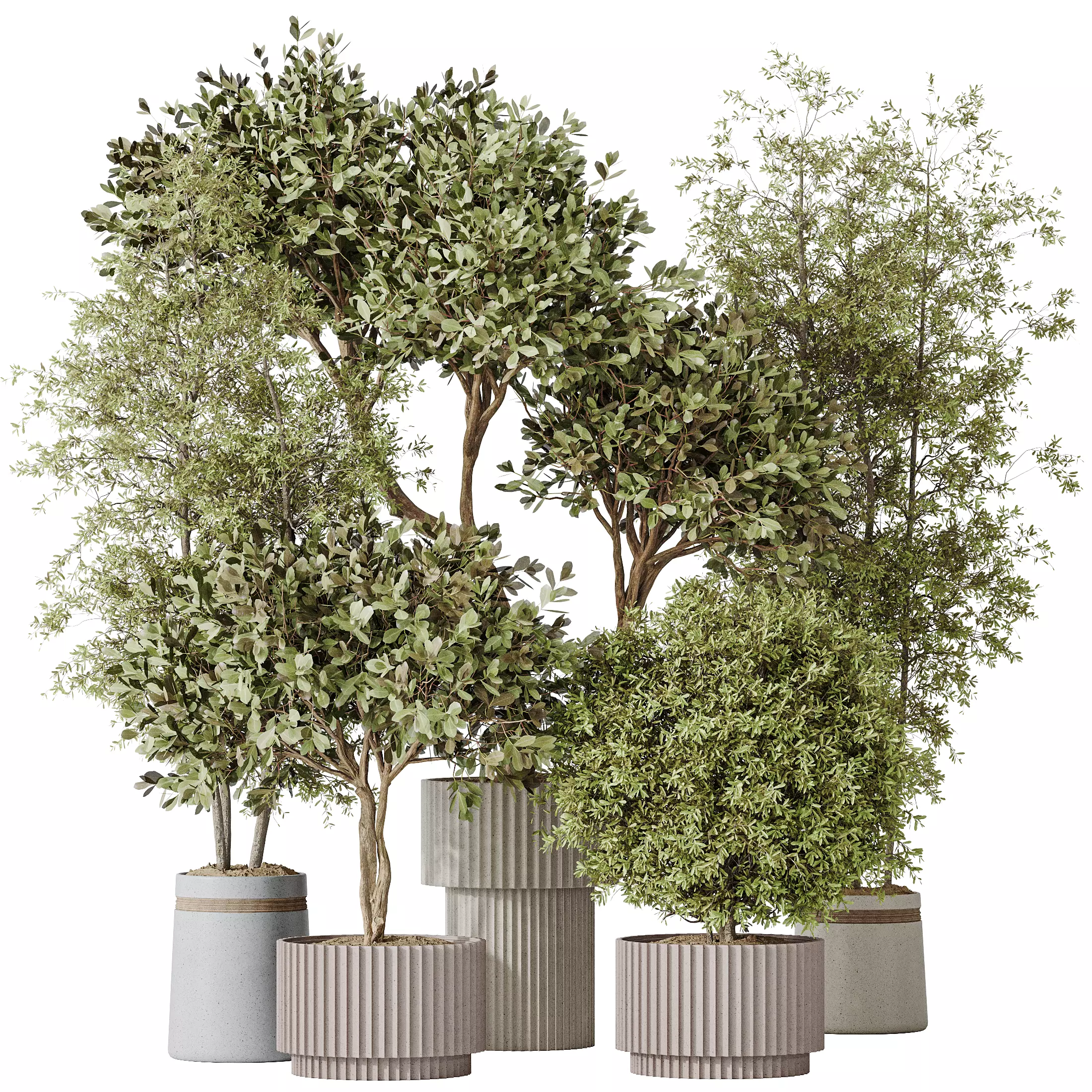 Indoor plant set 55 3D model