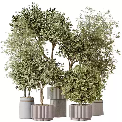 Indoor plant set 55 3D model