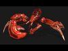 Crab-A1 Low-poly 3D model_1