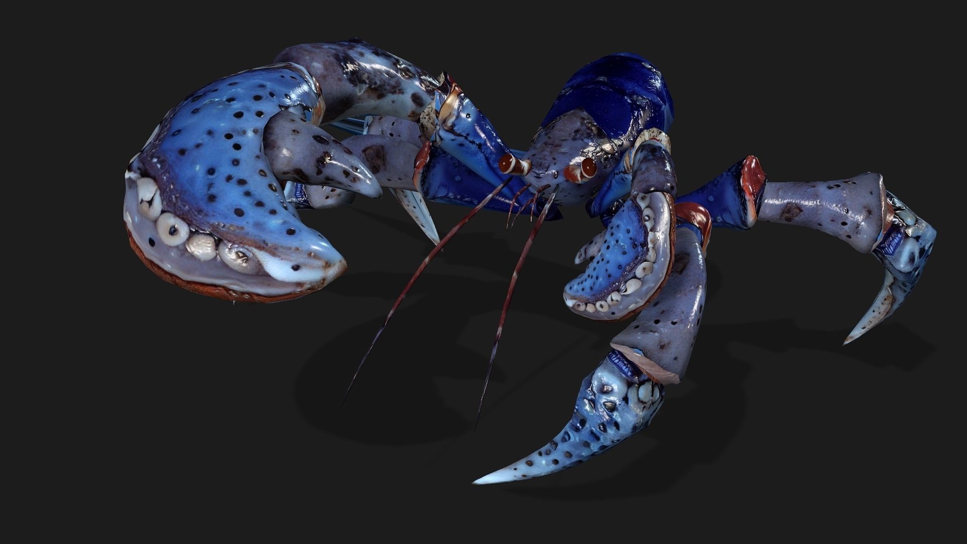 Crab-A3 Low-poly 3D model_10